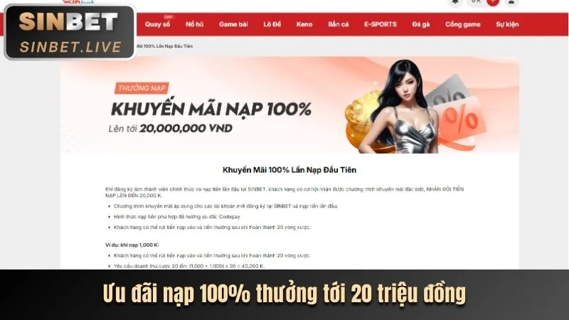 Ưu đãi VIP fbet casino